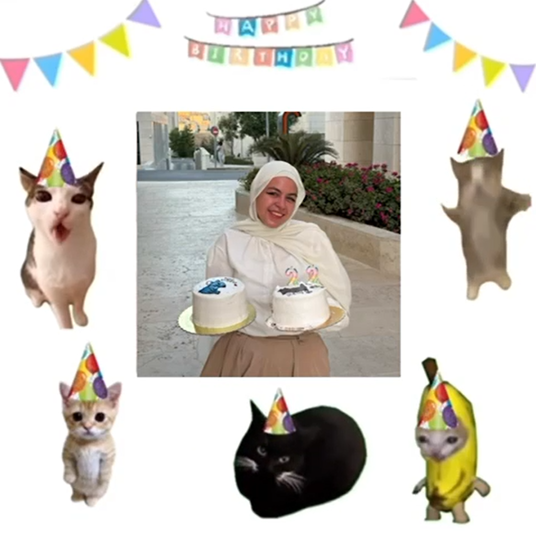 Birthday Highlight